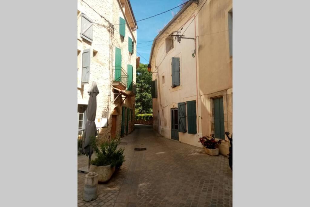 Character Filled House Overlooking The River Cesse Bize-Minervois Exterior photo